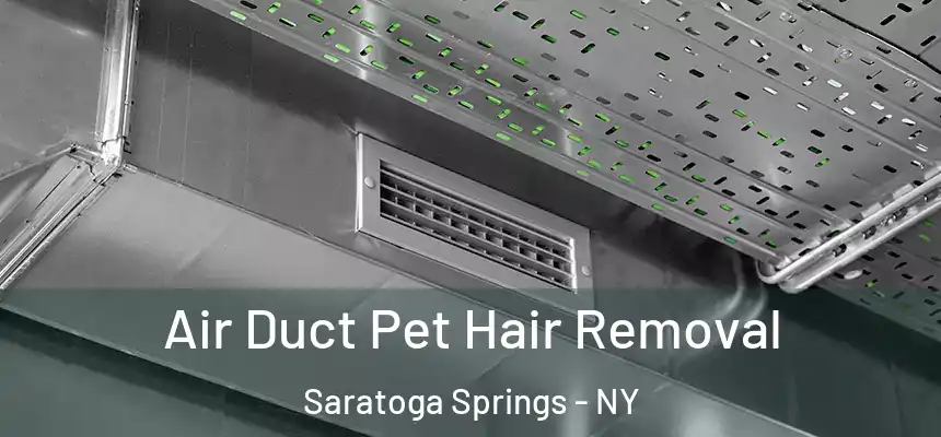 Air Duct Pet Hair Removal Saratoga Springs - NY