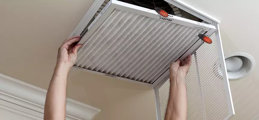 Preventive Cockroach-Proofing for Ducts in Saratoga Springs