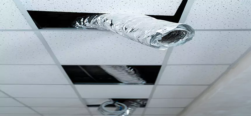 Our Air Duct Pet Hair Removal Services in Saratoga Springs, NY