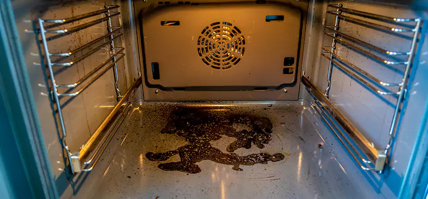 Our Dryer Vent Mold Cleaning Services in Saratoga Springs, NY