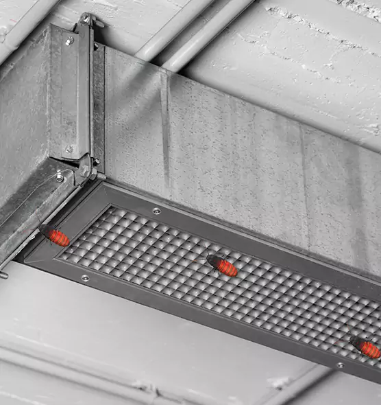 Affordable Insect Removal from Air Ducts in Saratoga Springs, NY