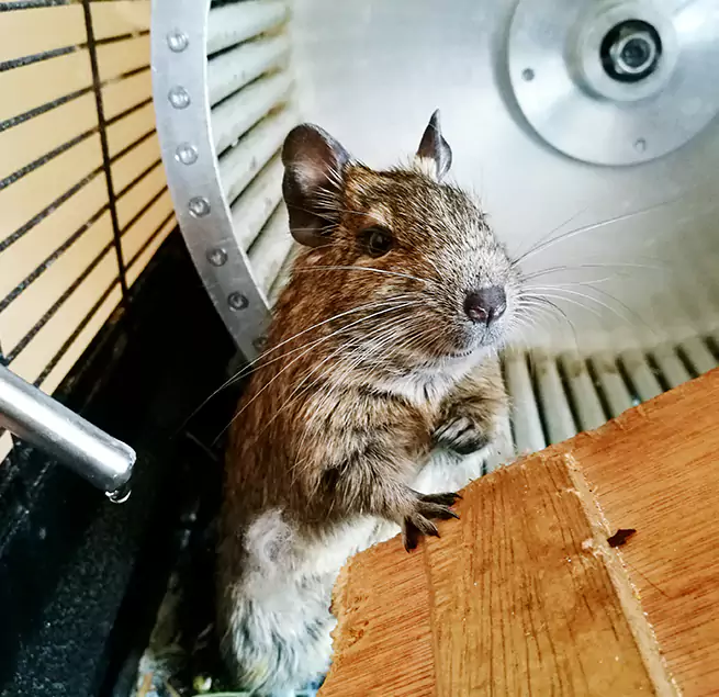 Why Homeowners & Businesses Trust Us Saratoga Springs, NY